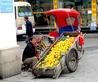 Beyond the ‘informal economy’ of food distribution-image