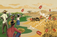 Whipping up disaster: how Brazil became a lab for financial agro-investments-image