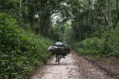 ¿Acaparamientos de tierras  para compensaciones de carbono donde todos ganemos?-image